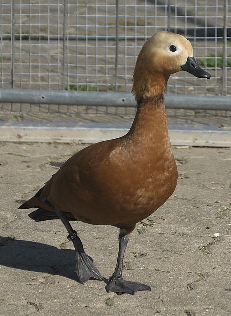 最后