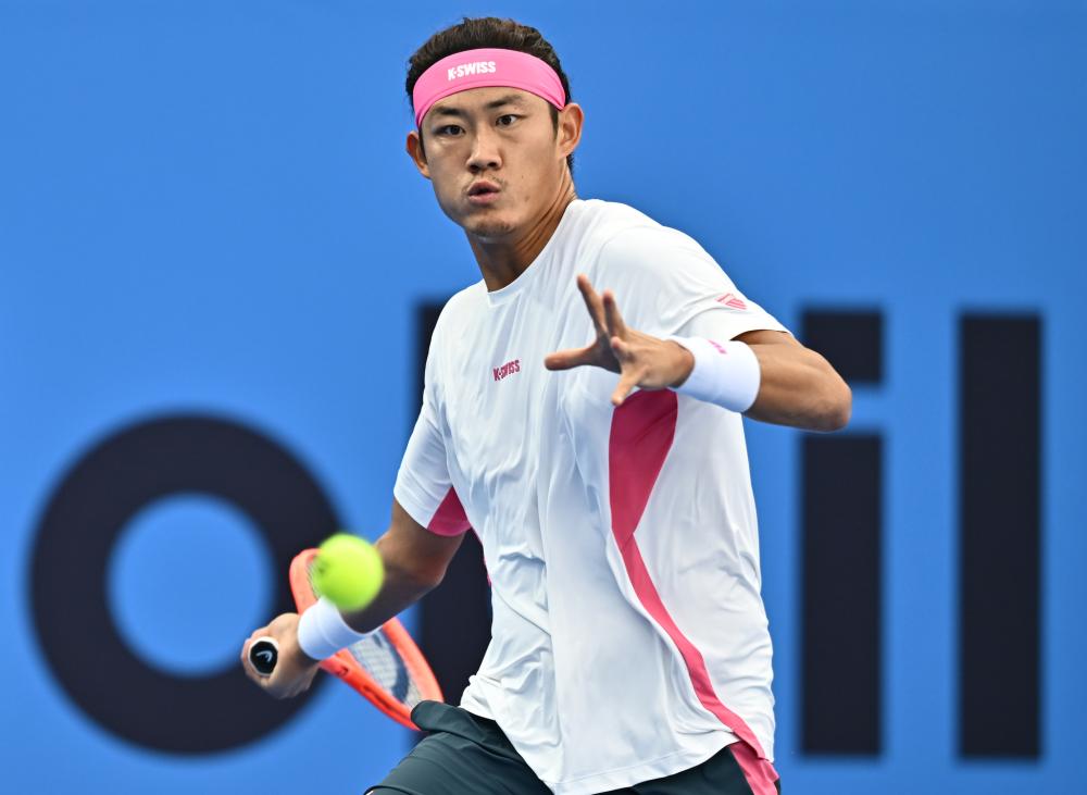 菲尼克斯太