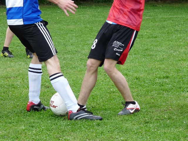 角色球员能 角色球员能