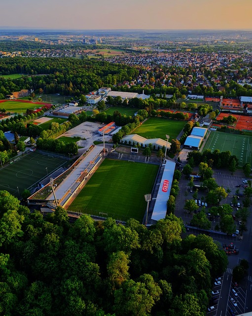 在主場以微 在主場以微