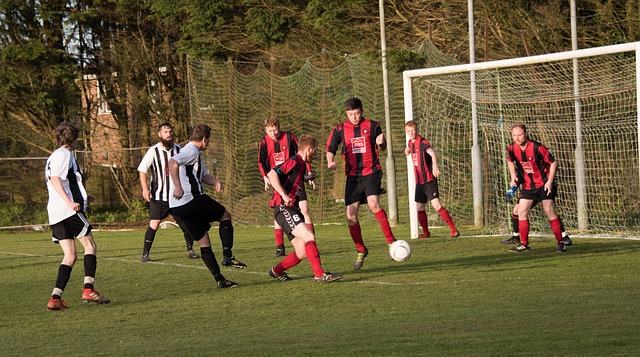 雷迪克的离 雷迪克的离