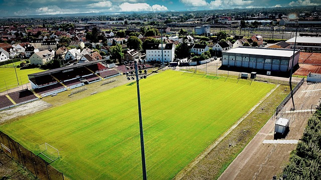 莹全力发挥 莹全力发挥