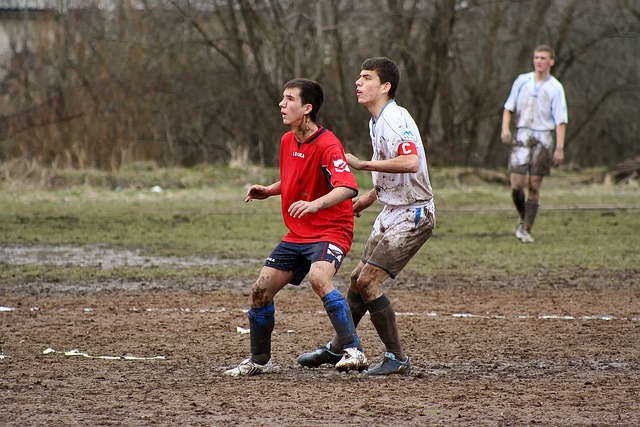 能因此損失 能因此損失