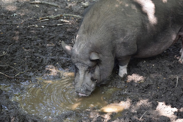 似的案例 似的案例