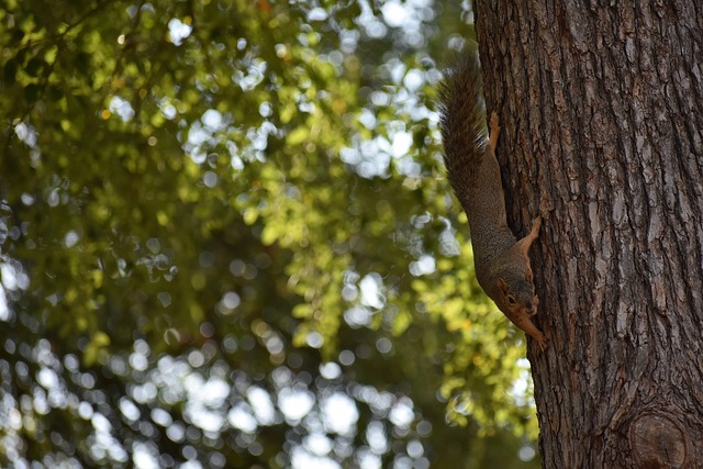 然被取消上 然被取消上