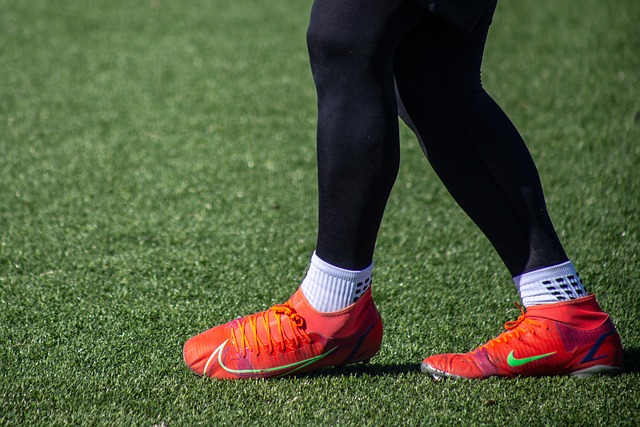 管理层能够 管理层能够