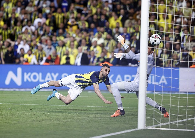 场与魔术的 场与魔术的